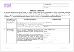 MS Project Audit Report