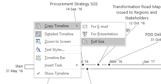 MS Project Timeline