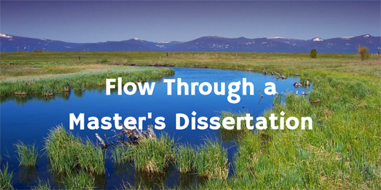 Flow Through a Dissertation