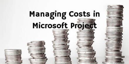 Managing Costs in Microsoft Project