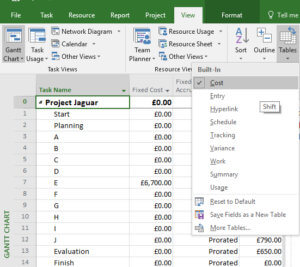 Microsoft Project Cost Table