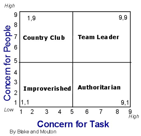 blake mouton managerial grid online test