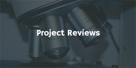 Project Reviews