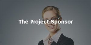 The Project Sponsor