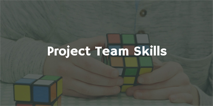 Project Team Skills