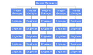 Project Organisation