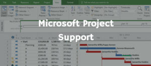 Microsoft Project Support