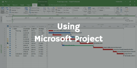 Using Microsoft Project