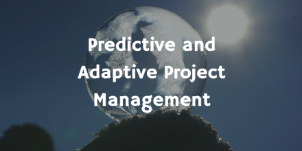 Adaptive and Predictive Project Management