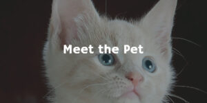 Meet the Pet